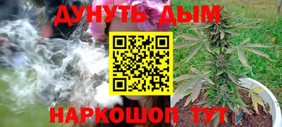 Альфа ПВП Дубна
