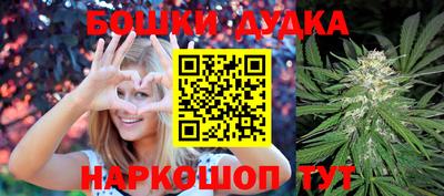 Альфа ПВП Дубна