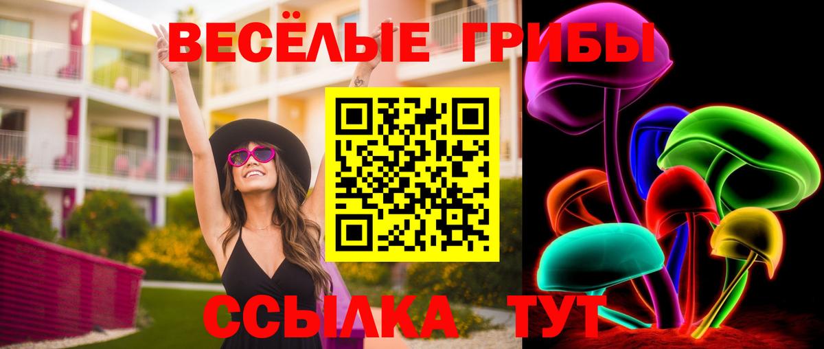 Нефтекамск  наркотики  Вход с VPN  Псилоцибиновые грибы мицелий 